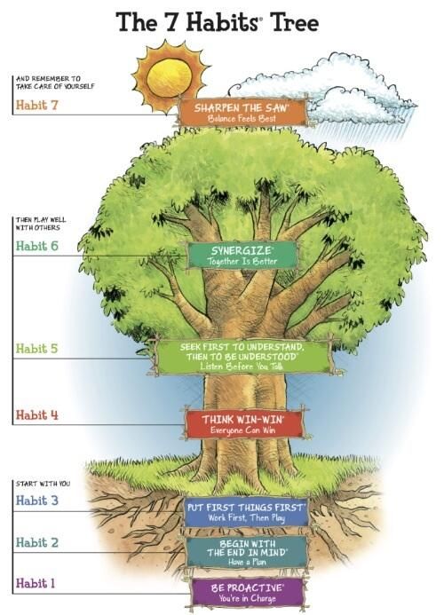 The Leader In Me 7 Habits Tree 